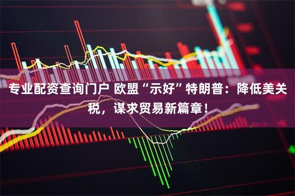 专业配资查询门户 欧盟“示好”特朗普：降低美关税，谋求贸易新篇章！