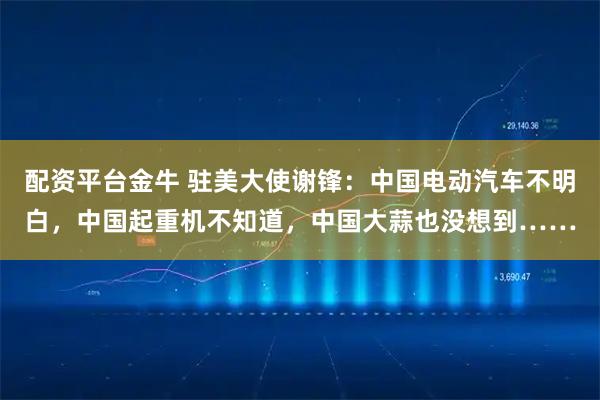 配资平台金牛 驻美大使谢锋：中国电动汽车不明白，中国起重机不知道，中国大蒜也没想到……