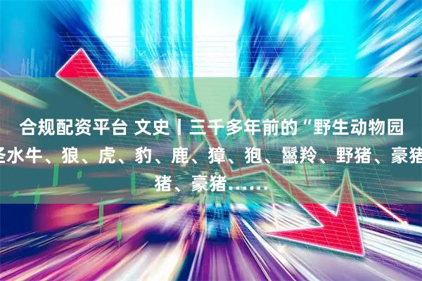 合规配资平台 文史丨三千多年前的“野生动物园”：圣水牛、狼、虎、豹、鹿、獐、狍、鬣羚、野猪、豪猪……